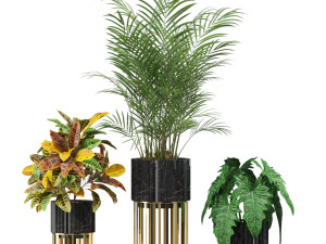 Plants collection 607 3D 모델