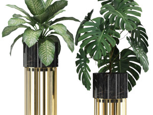Plants collection 607 3D 모델
