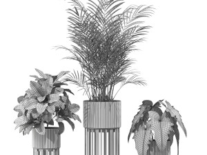 Plants collection 607 3D 모델