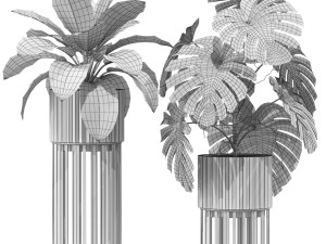 Plants collection 607 3D 모델
