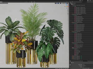 Plants collection 607 3D 모델