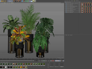 Plants collection 607 3D 모델