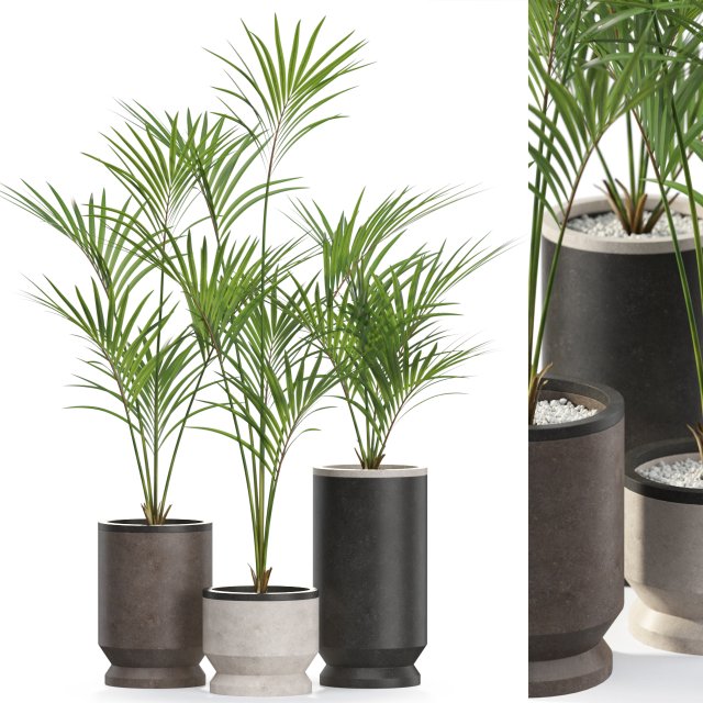 Plants collection 608 3D Модель .c4d .max .obj .3ds .fbx .stl .blend 