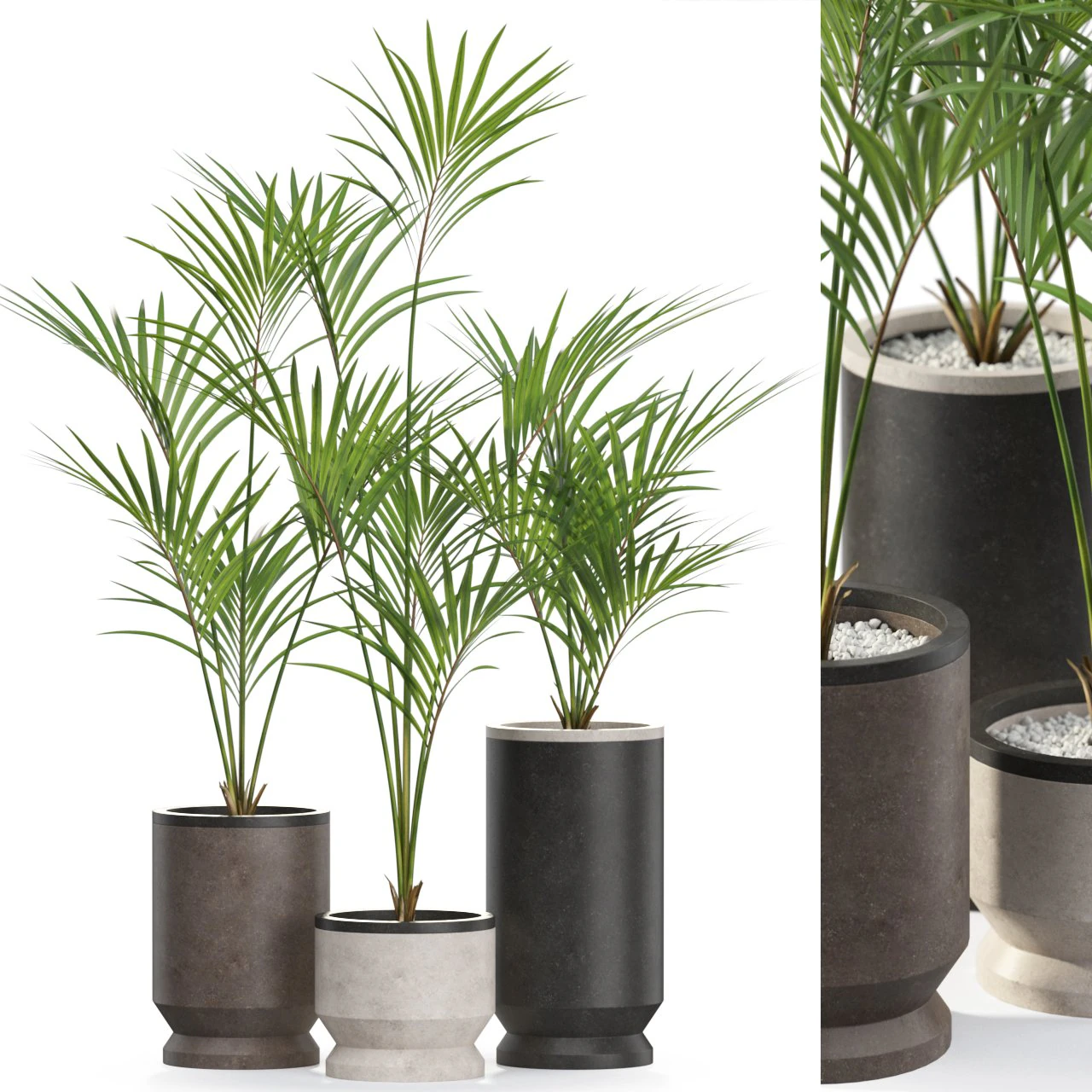 Plants collection 608 3D Model .c4d .max .obj .3ds .fbx .stl .blend 