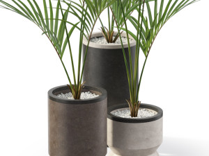 Plants collection 608 3D Модель