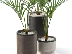 Plants collection 608 3D Model