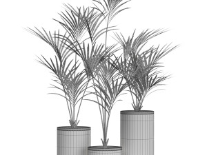 Plants collection 608 3D Модель