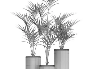 Plants collection 608 3D Model