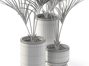 Plants collection 608 3D Модель