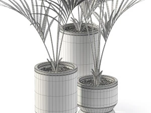 Plants collection 608 3D Model