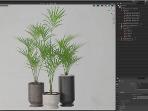 Plants collection 608 3D Model