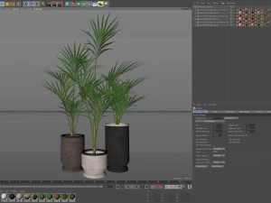 Plants collection 608 3D Model
