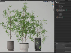 Plants collection 609 3D Model