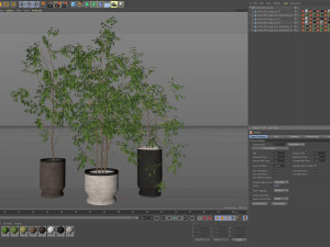 Plants collection 609 3D मॉडल