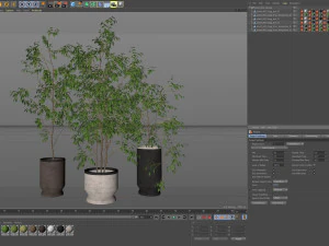 Plants collection 609 3D Model