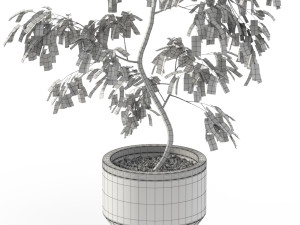 Plants collection 610 3D मॉडल