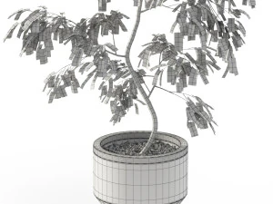 Plants collection 610 3D Model