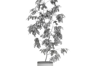 Plants collection 610 3D मॉडल