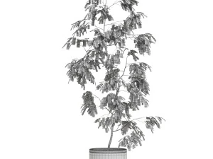 Plants collection 610 3D Model