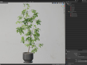 Plants collection 610 3D मॉडल