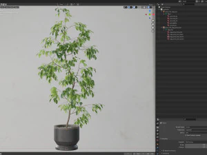 Plants collection 610 3D Model