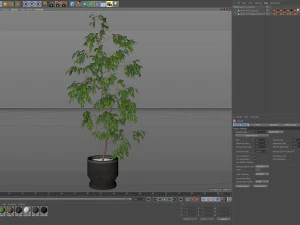 Plants collection 610 3D Model