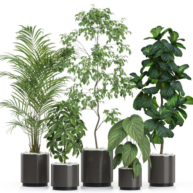 Plants collection 611 Model 3D .c4d .max .obj .3ds .fbx .stl .blend 
