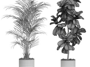 Plants collection 611 Model 3D