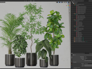 Plants collection 611 Model 3D