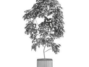 Plants collection 612 3D Модель