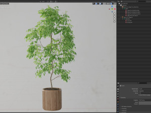 Plants collection 612 3D Модель