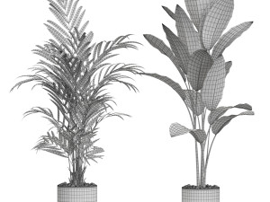 Plants collection 613 3Dモデル