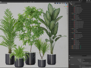 Plants collection 613 3Dモデル