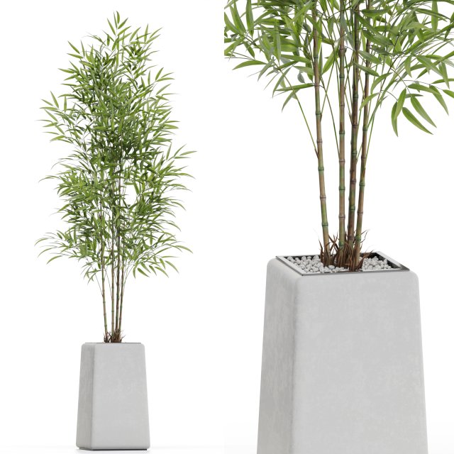 Plants collection 614 Modelo 3D .c4d .max .obj .3ds .fbx .stl .blend 