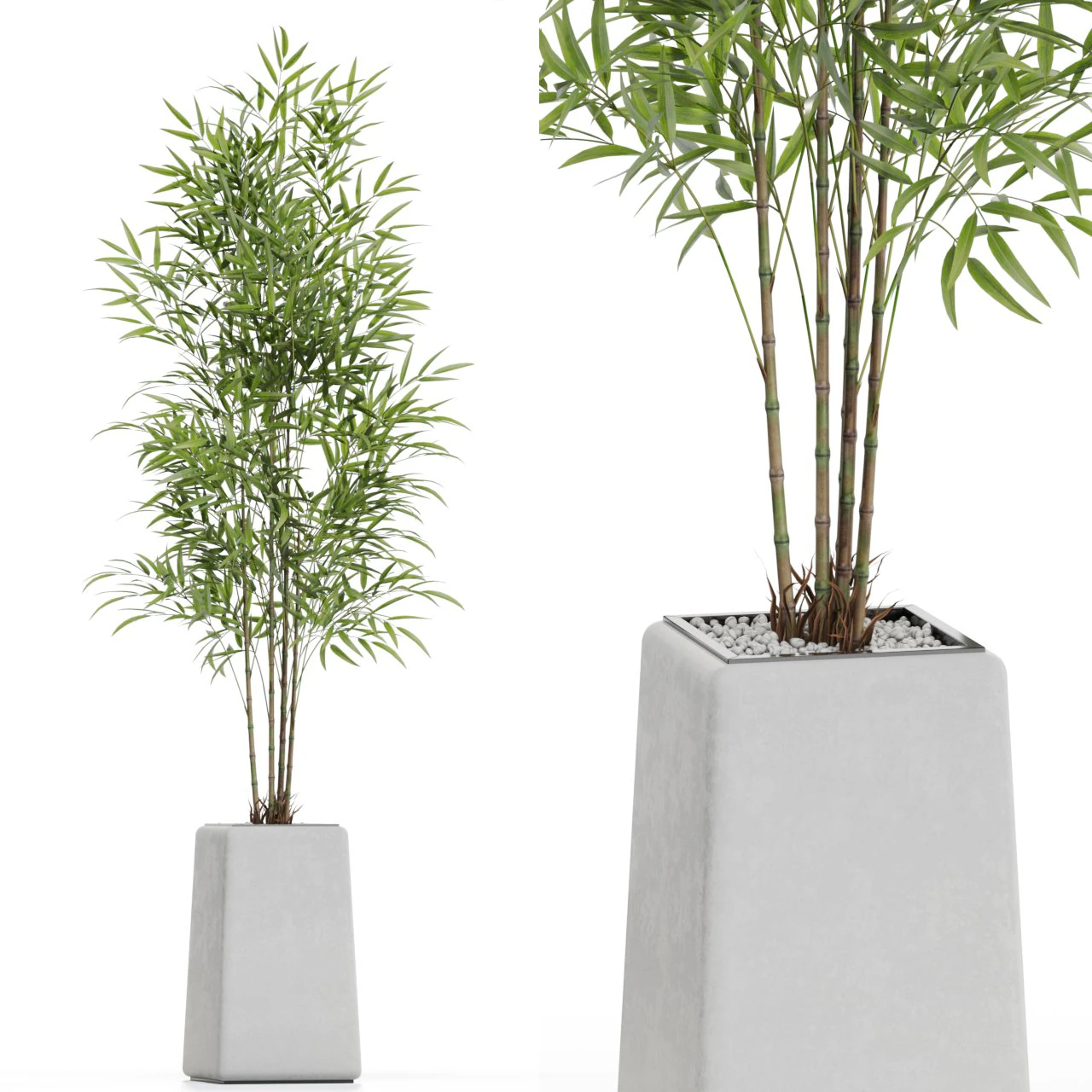 Plants collection 614 3D Model .c4d .max .obj .3ds .fbx .stl .blend 