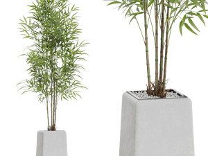 Plants collection 614 3D मॉडल