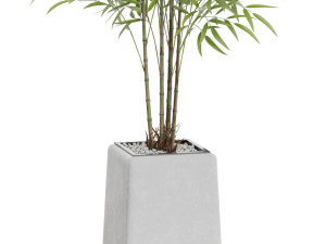 Plants collection 614 Modelo 3D