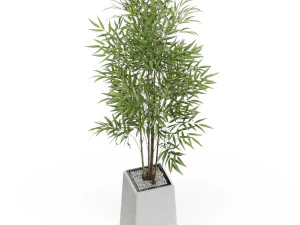 Plants collection 614 3D Model