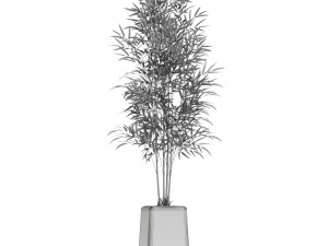 Plants collection 614 Modelo 3D