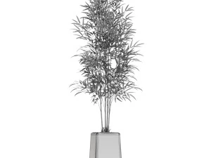Plants collection 614 3D Model