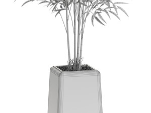 Plants collection 614 Modelo 3D