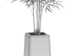 Plants collection 614 3D Model