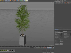 Plants collection 614 3D Model