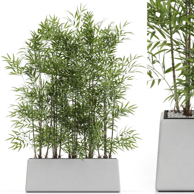 Plants collection 615 3D Model .c4d .max .obj .3ds .fbx .stl .blend 