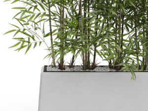 Plants collection 615 3D Model