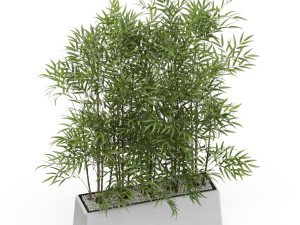 Plants collection 615 3D Model
