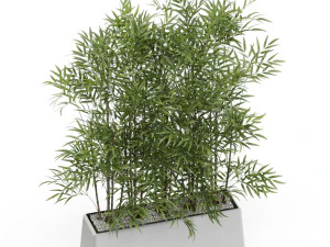 Plants collection 615 3D Model