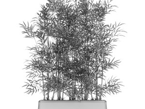 Plants collection 615 3D Model