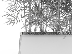Plants collection 615 3D Model