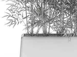 Plants collection 615 3D Model